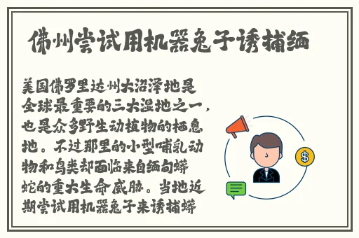 欧美在线**小视频